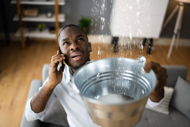 Best Flooded house restoration  in Jefferson, OR