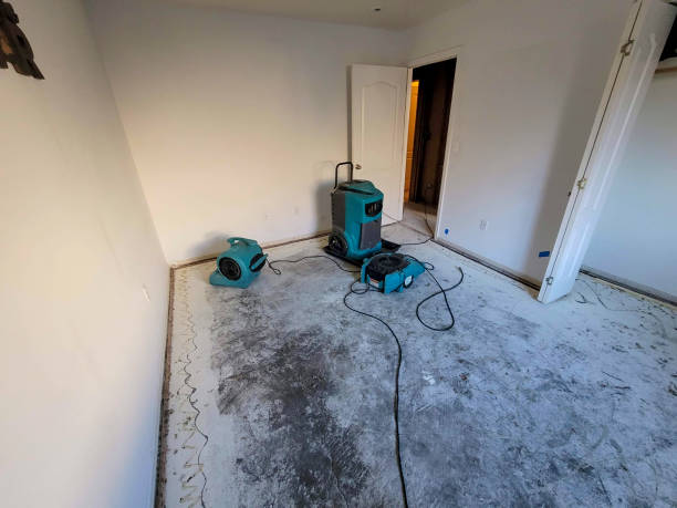 Best Water damage cleanup near me  in Jefferson, OR