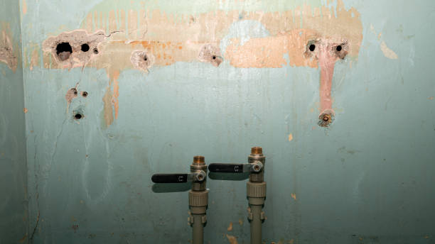 Best Local water damage restoration  in Jefferson, OR