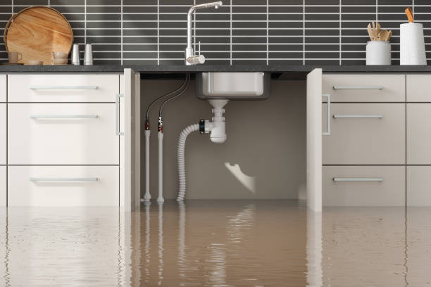  Jefferson, OR Water damage restoration Pros