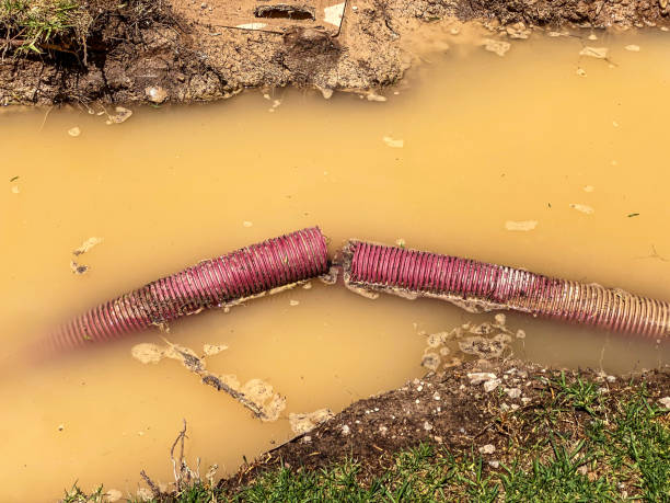 Best Flood restoration services  in Jefferson, OR