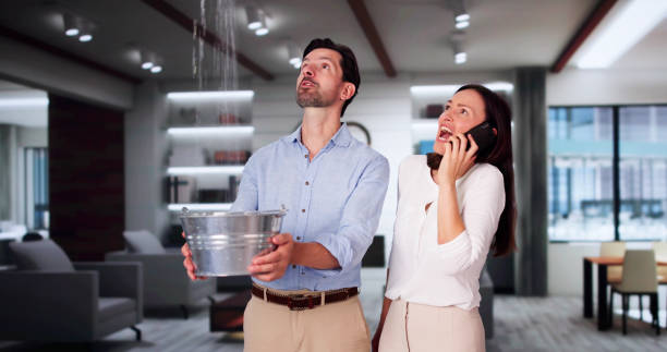 Best Water damage restoration company  in Jefferson, OR