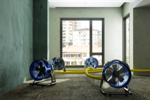 Best Residential water damage restoration  in Jefferson, OR